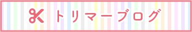 トリマーブログ