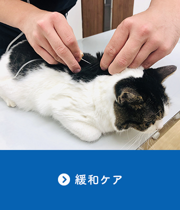 緩和ケア