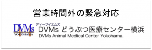 DVMsどうぶつ医療センター横浜
