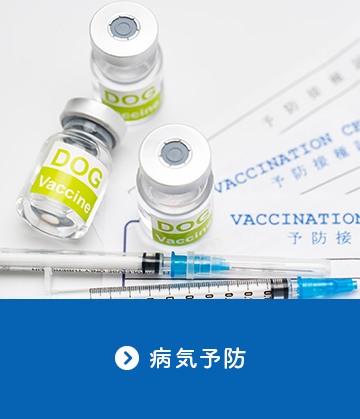 病気予防